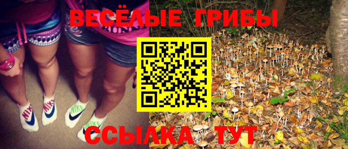 Арсеньев  Псилоцибиновые грибы Psilocybine cubensis  Псилоцибиновые грибы GOLDEN TEACHER  Вход с VPN 